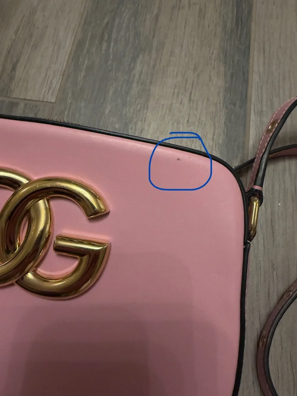 Dolce And Gabbana Pink Leather Camera Bag